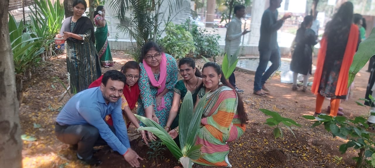 Tree Plantation